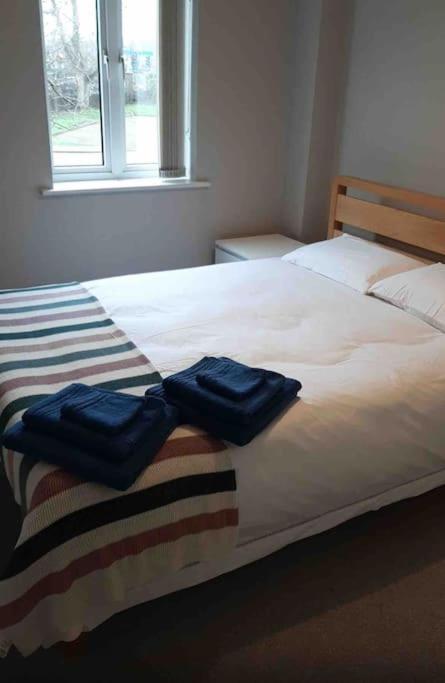 Modern Two Bed Flat In Canada Water Close To Transport Apartamento